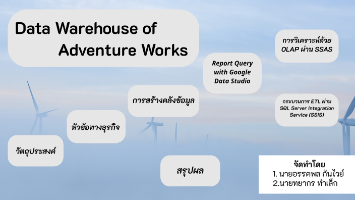 MICROSOFT ADVENTUREWORKS DATA WAREHOUSE visual data 3