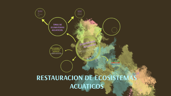 Restauracion De Ecosistemas Acuaticos By Beatriz Claros Collazos