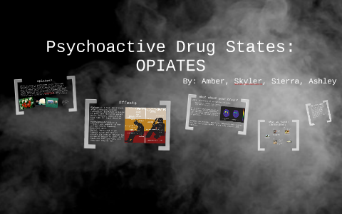 Psychoactive Drug States: OPIATES by Amber Mason on Prezi