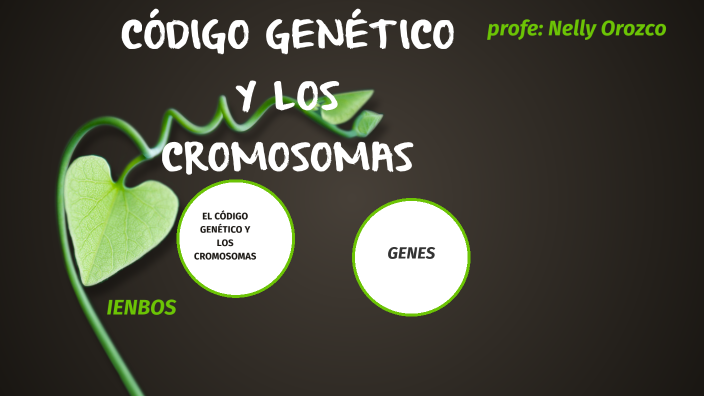 CÒdigo Genetico Y Los Cromosomas By Nelly Yaneth Orozco Barrios On Prezi