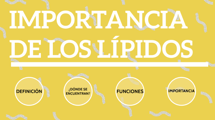 Importancia De Los Lípidos By Andhara Benavides Cáceres On Prezi 8595