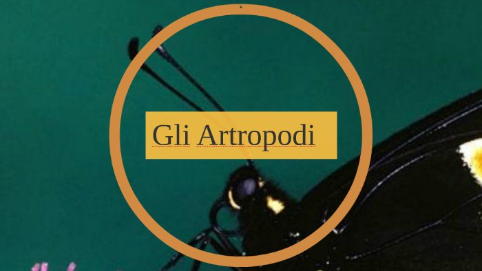 Gli Artropodi by francesca gennaro