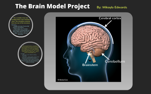 brain model project