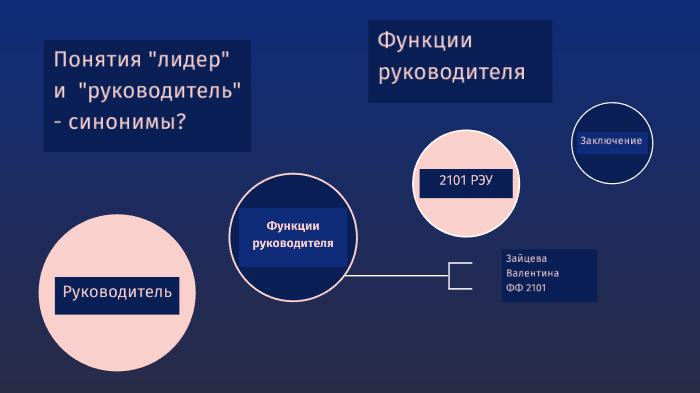 Концепция руководитель проекта