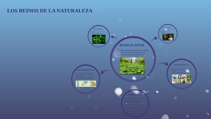 Los Reinos de la Naturaleza by dany leon on Prezi