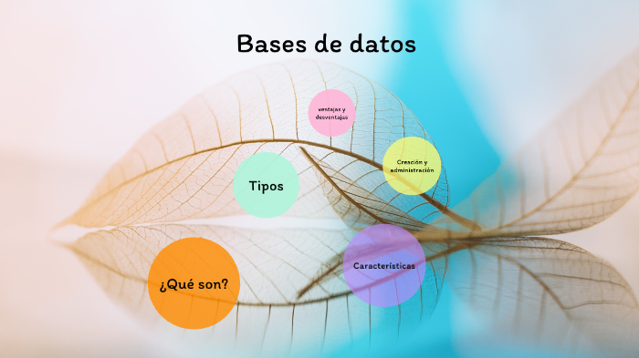Bases de datos by Sofía Ramos on Prezi