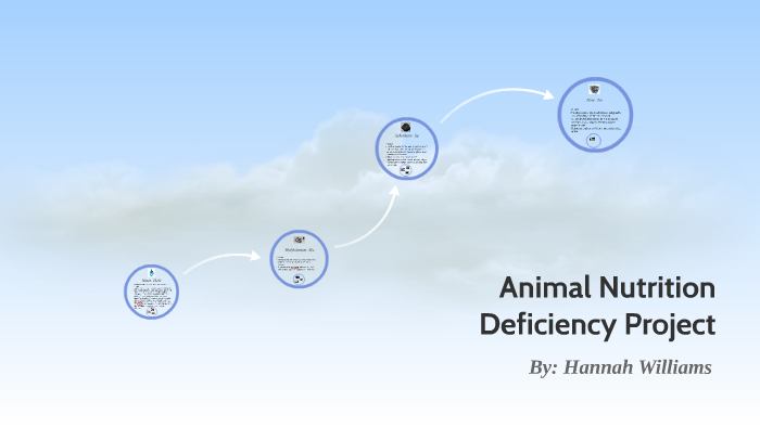 Animal Nutrition Deficiency Project by Hannah Williams