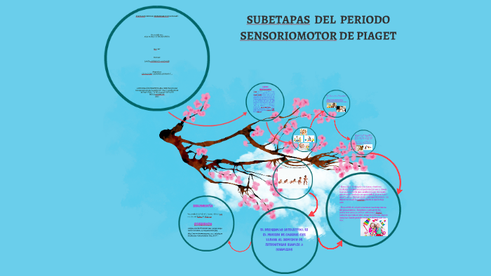 SUBETAPAS DEL PERIODO SENSORIOMOTOR DE PIAGET by Ana Maria Guzm n