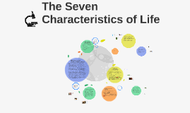 The Seven Characteristics Of Life By Rosa Willis