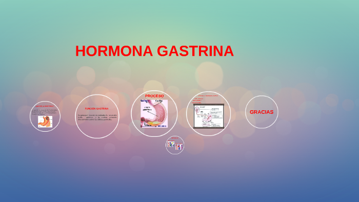 HORMONA GASTRINA by Lexlye Acosta
