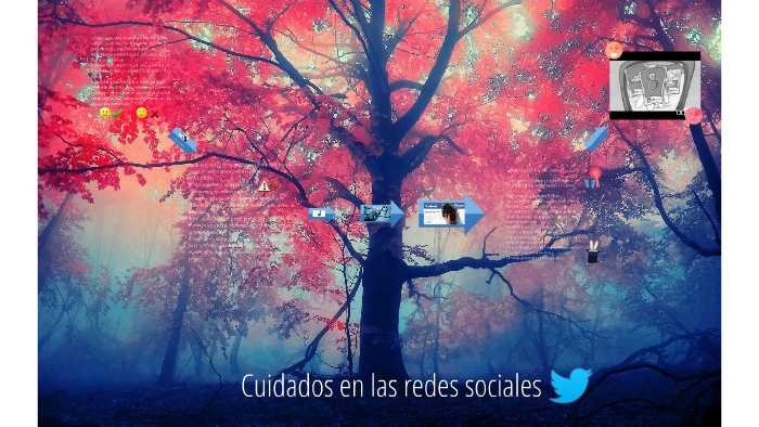Cuidados en las redes sociales by sheryl fajardo on Prezi