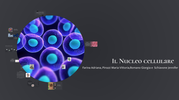Il Nucleo della Cellula by Giorgia Romano on Prezi