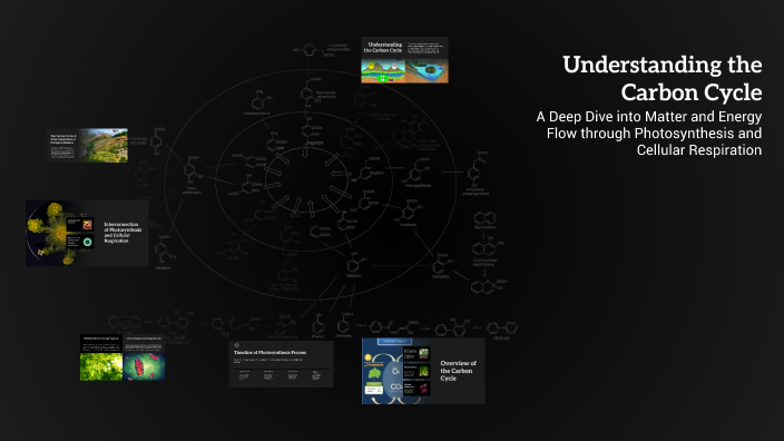 Understanding the Carbon Cycle by Cade England on Prezi