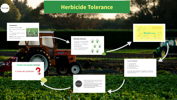 Herbicide Tolerance by K Farooq on Prezi