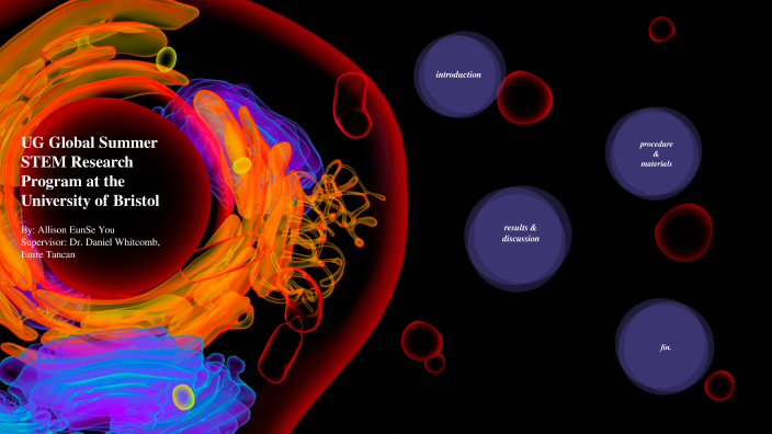 ug-global-summer-stem-research-program-at-the-university-of-bristol-by