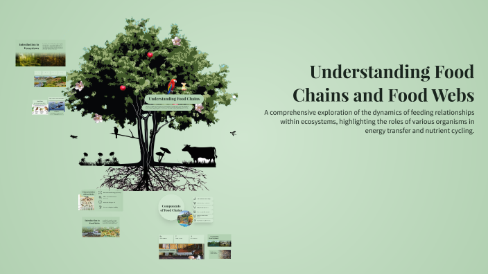 Understanding Food Chains and Food Webs by Simrat kaur on Prezi