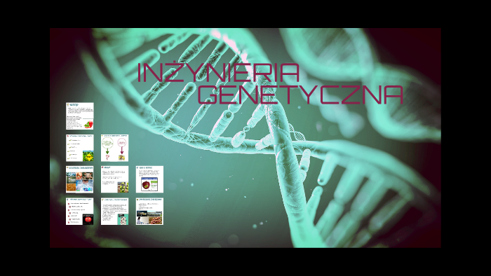 INŻYNIERIA GENETYCZNA by Robert Andraka on Prezi