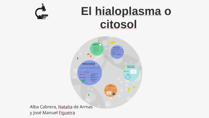 El hialoplasma o citosol by on Prezi