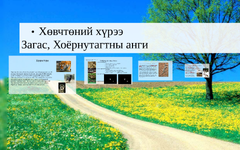 Хөвчтөний хүрээ by narkaa narantuya on Prezi