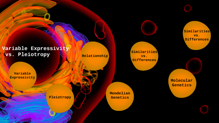 Variable Expressivity vs. Pleiotropy by Marina Langford on Prezi