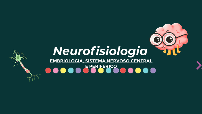 Neurophysiology: Explained by Mariana Rosa on Prezi