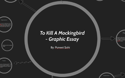 in the novel to kill a mockingbird essay