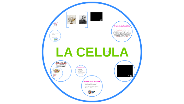 LA CELULA by natalia delgado on Prezi