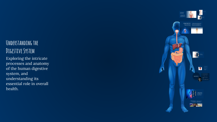 Understanding the Digestive System by Broderick Benson on Prezi