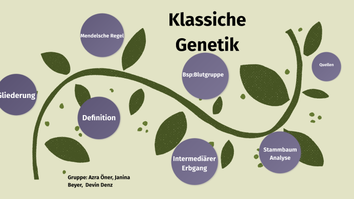 Klassische Genetik By Azra Öner On Prezi