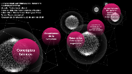 Mapa conceptual de Toxicologia by Orlando Rene Centeno Villalobos on Prezi  Next