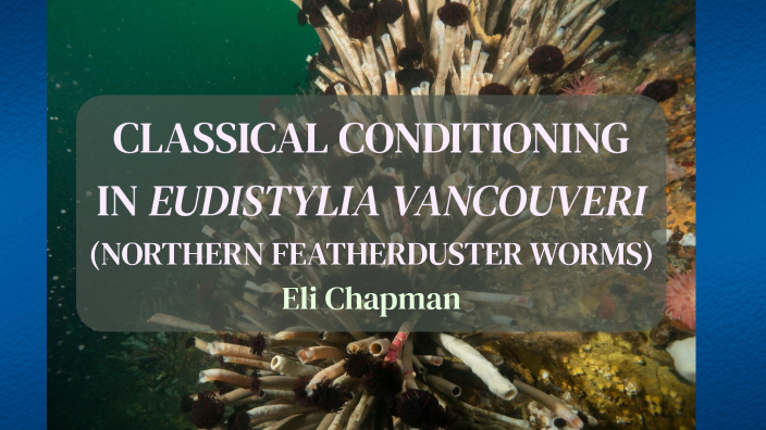 Classical Conditioning in E. vancouveri by Eli Chapman on Prezi