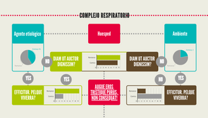 Mapa conceptual by Diana Arenas on Prezi Design