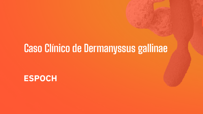 Caso Clínico de Dermanyssus gallinae by ejarajarro on Prezi