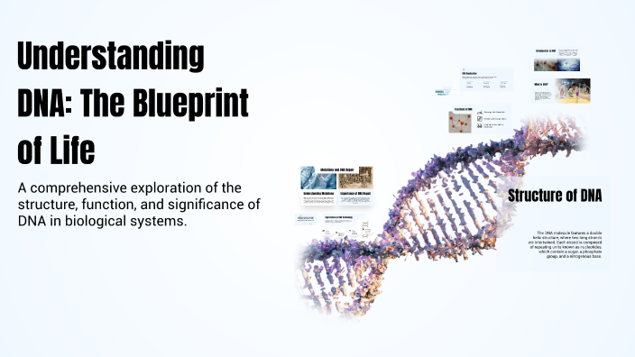 Understanding DNA: The Blueprint of Life by Amine Bourza on Prezi
