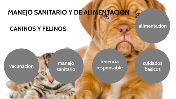 Manejo sanitario y alimentación by Carlos manuel Florez on Prezi