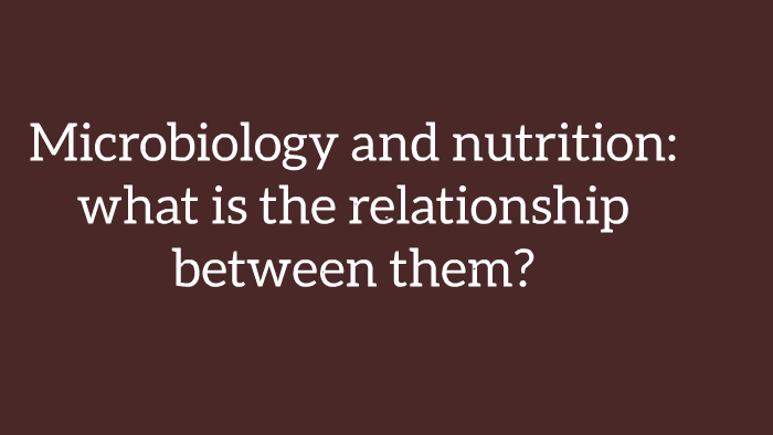 Microbiology And Nutrition What Is The Relationship Between By Juliany Ribeiro