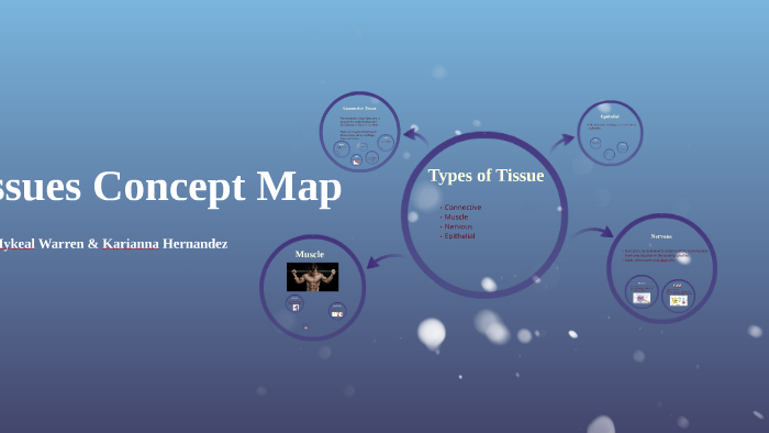 connective tissue concept map