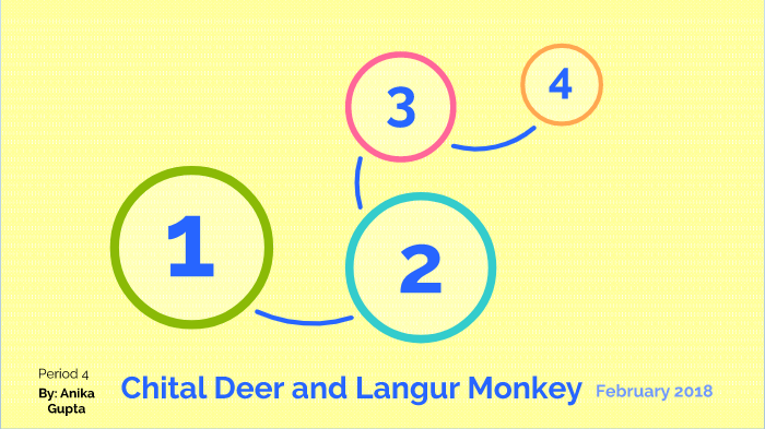 The Complicated Relationship Langur Monkeys And Chital Deer - ude692m