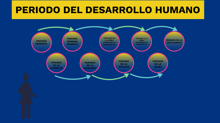 etapas del desarrollo humano by jose junior sánchez Berrios on Prezi