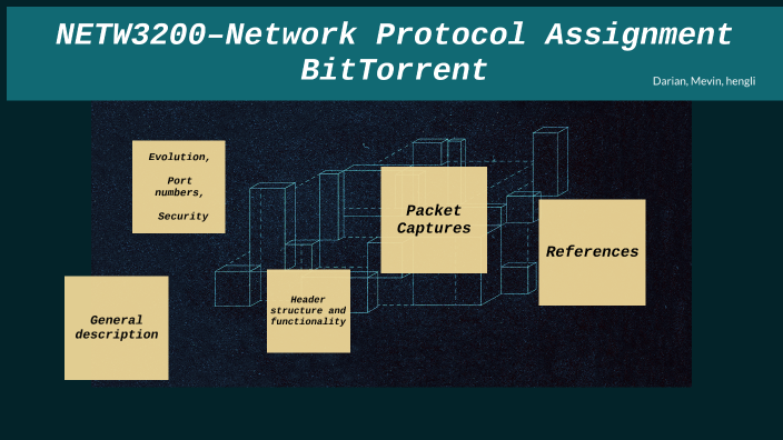 NETW3200 – Network Protocol Analysis Network Protocol Assignment ...