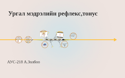 Ургал мэдрэлийн рефлекс by А. Золбоо on Prezi