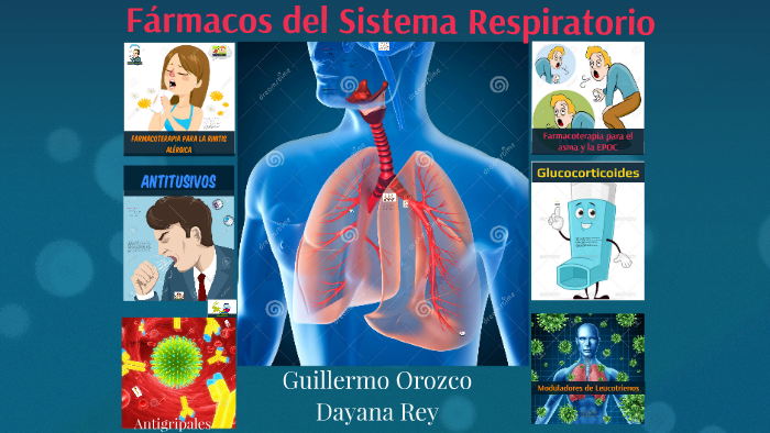 Fármacos Del Sistema Respiratorio By Guillermo OA On Prezi