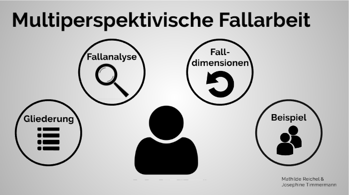 Multiperspektivische Fallarbeit Nach Müller