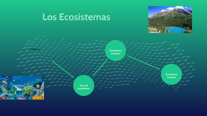Los Ecosistemas by andres gonzalez on Prezi