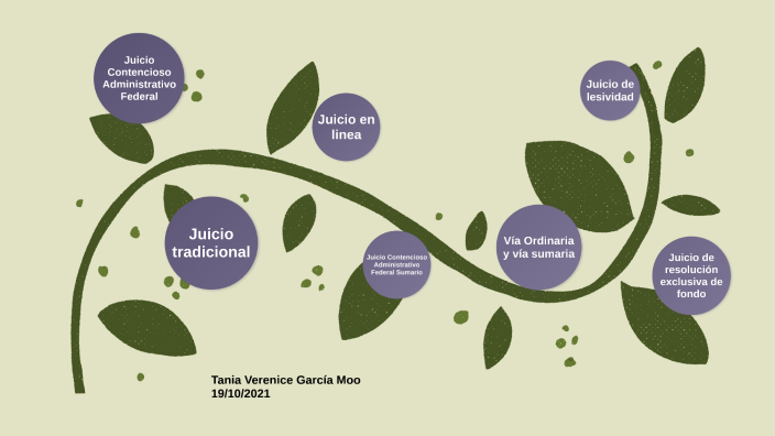 El Procedimiento Administrativo En Materia Fiscal By Tania García On Prezi