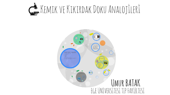 Kemik Ve Kikirdak Doku Analojileri By Umur Batak