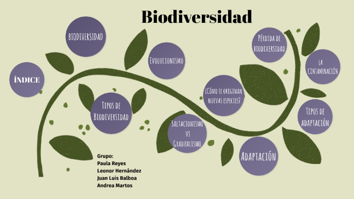 La biodiversidad : origen y conservación by Juan Luis Balboa Castillo ...