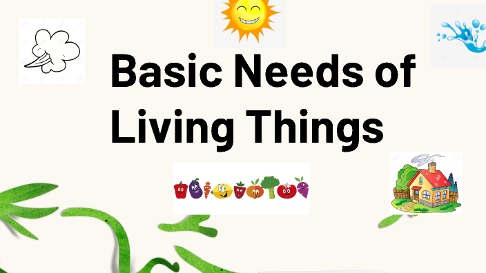 basic-needs-of-living-things-by-maria-diaz-vasquez