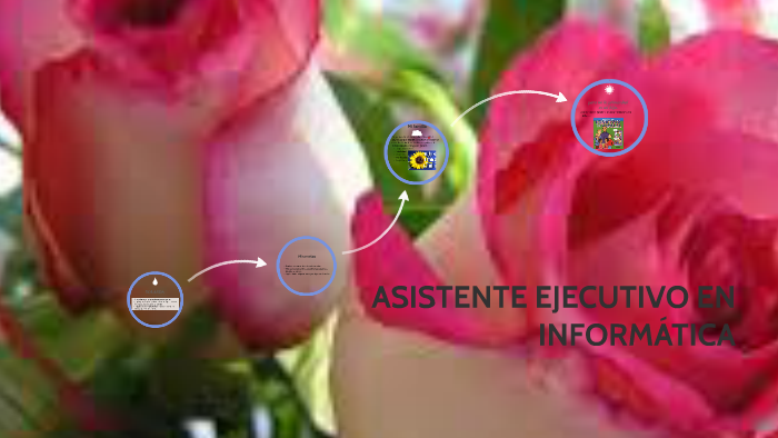 Asistente Ejecutivo En Informatica By Yolanda Rojas On Prezi Next