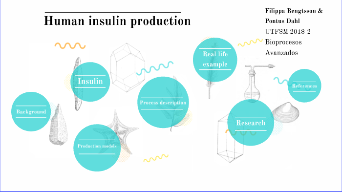 Insulin Production by on Prezi